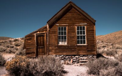 Why Is My House So Dry? Causes and Fixes