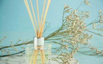 How to Get Rid of Musty Smell in House
