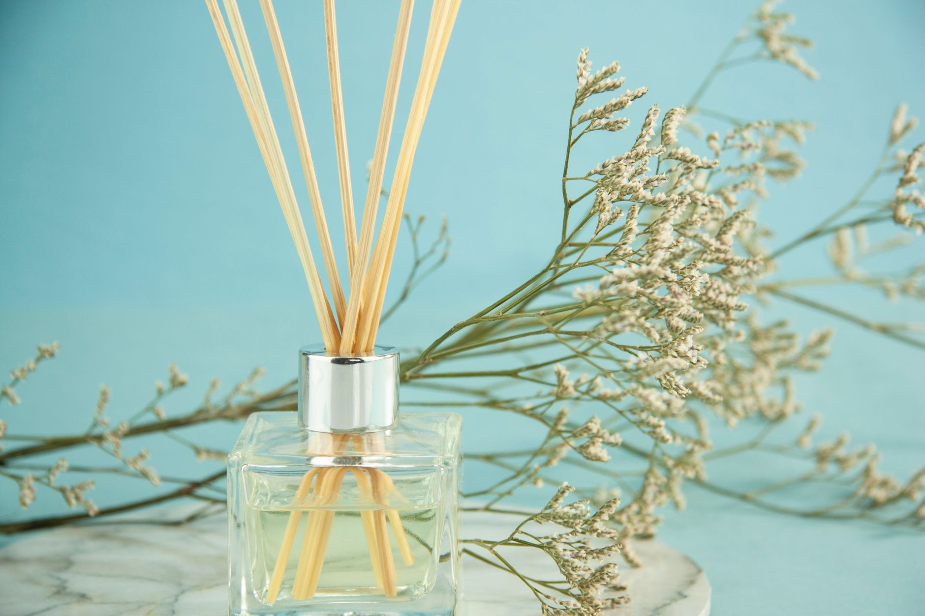 How to Get Rid of Musty Smell in House: Causes and Solutions for 2026 1 Illustration for: How to Get Rid of Musty Smell in House: Causes and Solutions for 2026