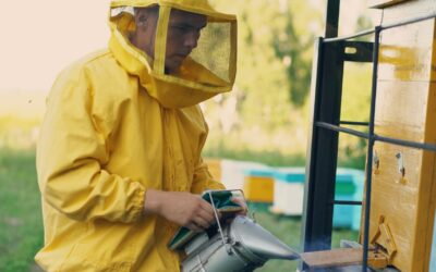 Why Your Smoker Temperature Keeps Dropping