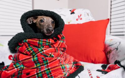 Electric Blanket Keeps Turning Off: Causes and Fixes for 2026