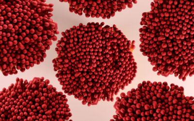 What Is Haematococcus Pluvialis Astaxanthin?
