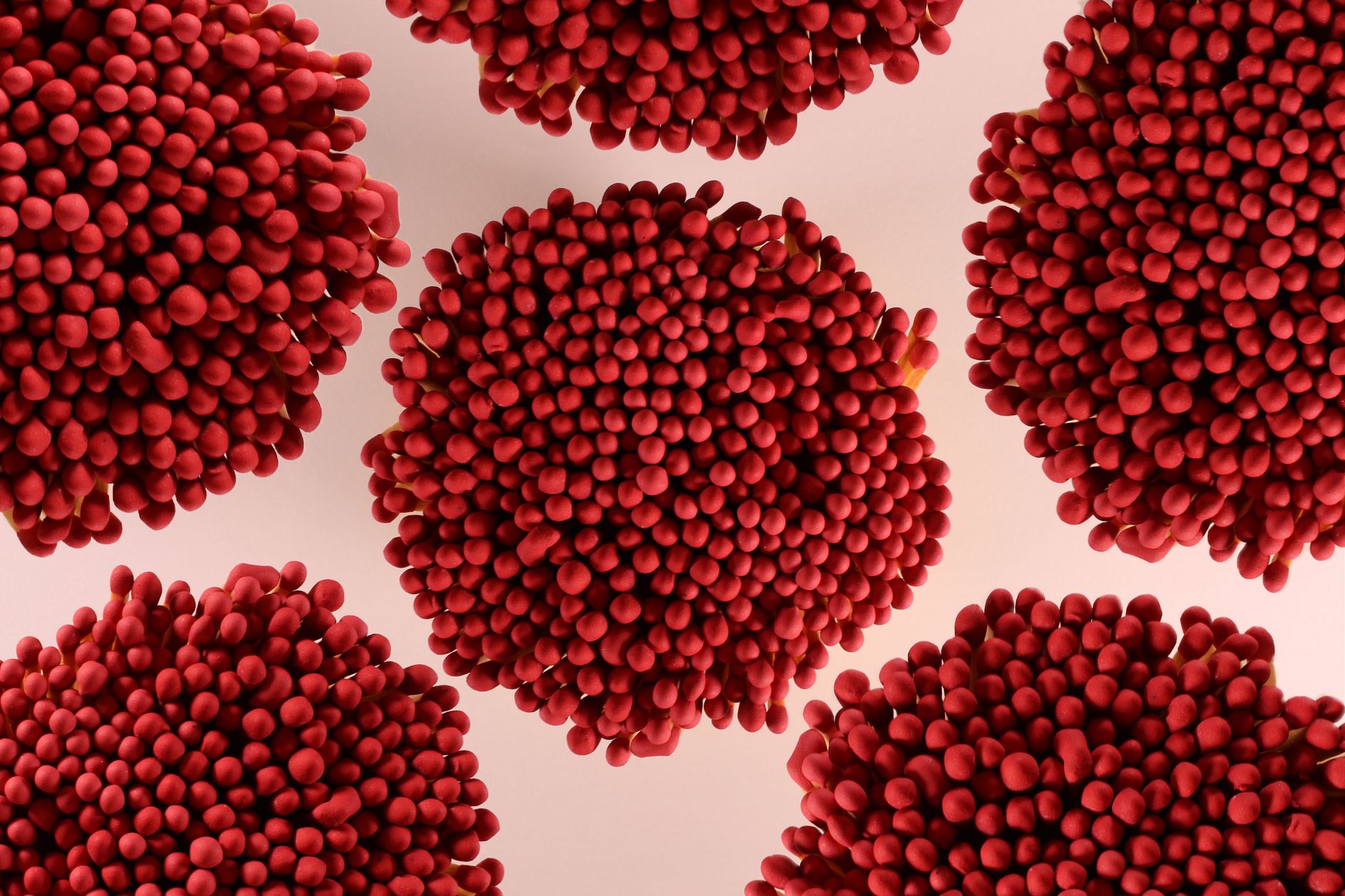 Illustration for: What Is Haematococcus Pluvialis Astaxanthin? A Complete Guide for 2026