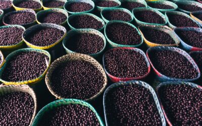 Natural Astaxanthin on Amazon: A Buyer's Guide