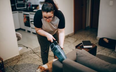 Cordless Car Vacuum For Pet Hair: What You Need to Know