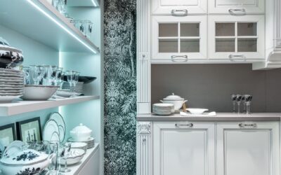 Reacher Grabber For High Shelves: What You Need to Know Before Buying